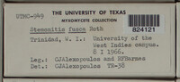 Image Associated With the Occurence